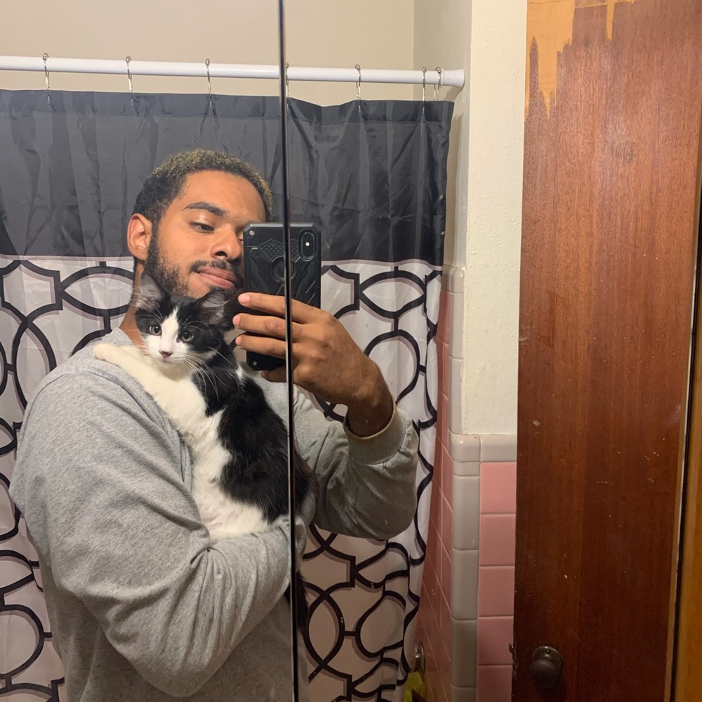 Meet your Posher, Bruce